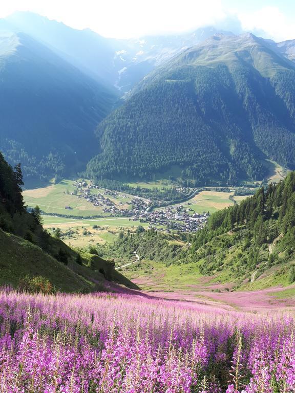 Alpensonne Leilighet Reckingen Eksteriør bilde