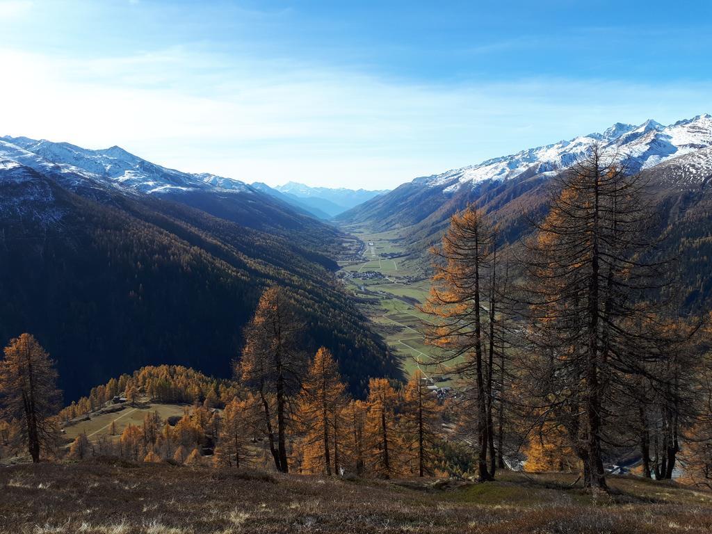 Alpensonne Leilighet Reckingen Eksteriør bilde