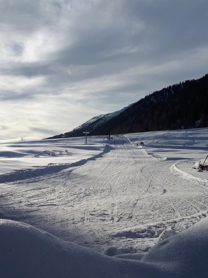 Alpensonne Leilighet Reckingen Eksteriør bilde