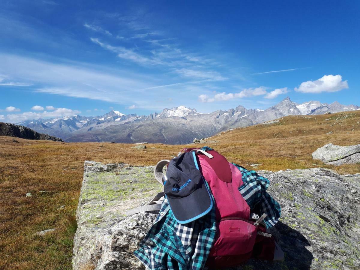 Alpensonne Leilighet Reckingen Eksteriør bilde